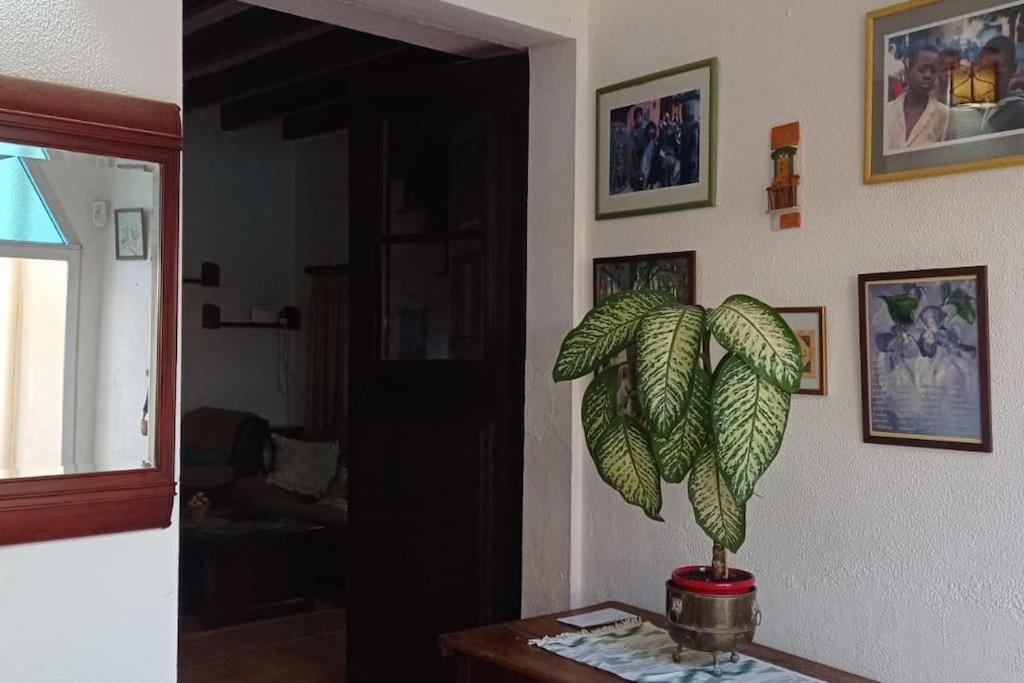Villa Ca Na Perereta Sencelles Esterno foto