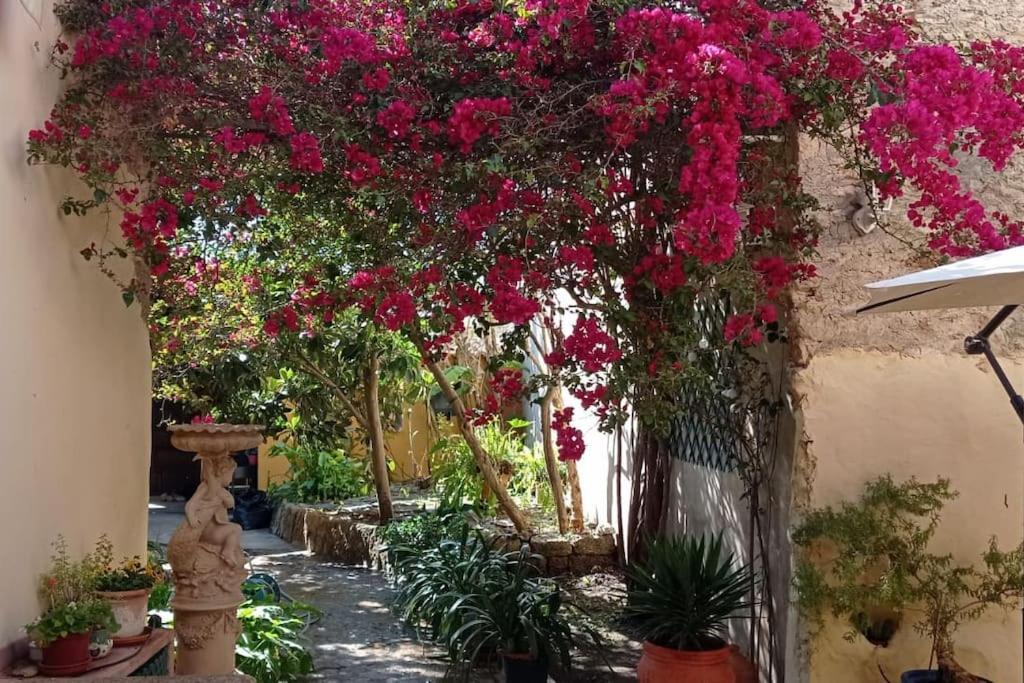 Villa Ca Na Perereta Sencelles Esterno foto